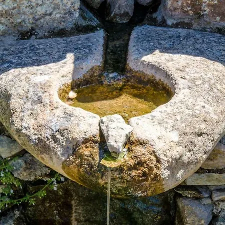 Maison d'hôtes Les Bergeries Le Figuier
