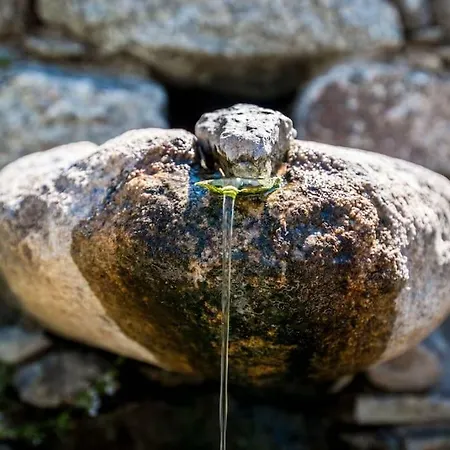 Maison d'hôtes Les Bergeries Le Figuier