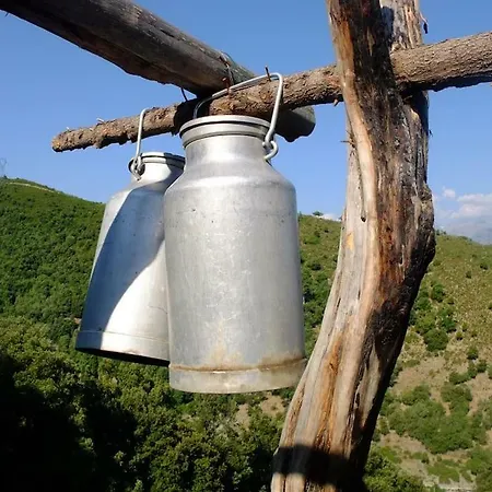 Les Bergeries Le Figuier Maison d'hôtes