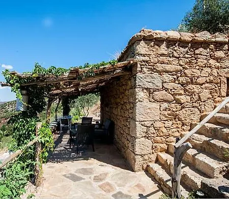 Maison d'hôtes Les Bergeries Le Figuier Omessa