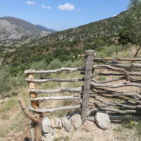 Les Bergeries Le Figuier 3* Omessa