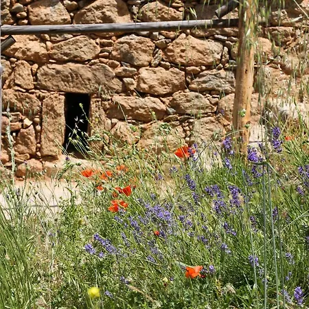 Maison d'hôtes Les Bergeries Le Figuier Omessa