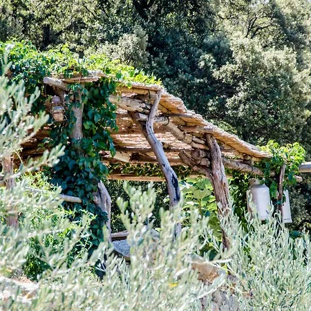 Les Bergeries Le Figuier 3* Omessa