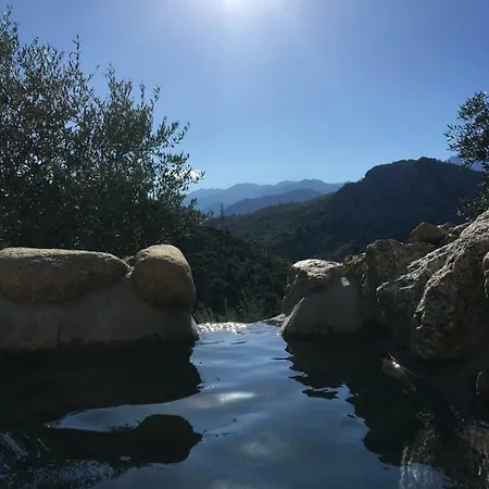 Maison d'hôtes Les Bergeries Le Figuier Omessa