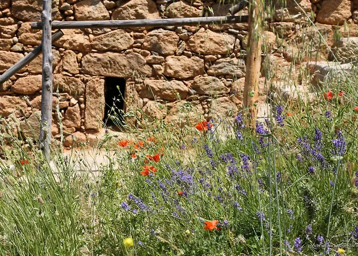 Pensjonat Les Bergeries 