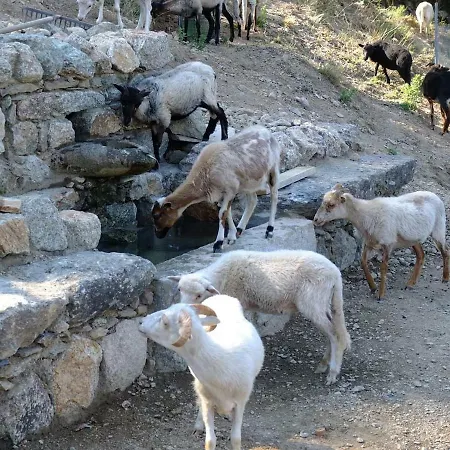 Les Bergeries 